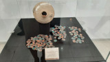 Открылась выставка медных монет клада «Янги Санганак»