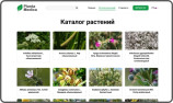 Создан интерактивный атлас перспективных лекарственных растений Узбекистана
