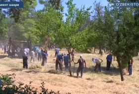 Работа по благоустройства научно-исследовательских институтов в Академии наук Узбекистана Работа по благоустройства научно-исследовательских институтов в Академии наук Узбекистана