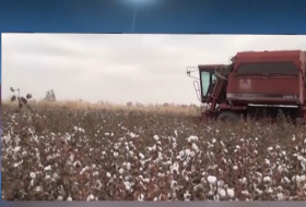 Qishloq xo'jaligi uchun FA Mikrobiologiya instituti olimlari tomonidan yaratilgan stimulyatorlar Qishloq xo'jaligi uchun FA Mikrobiologiya instituti olimlari tomonidan yaratilgan stimulyatorlar