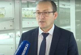 O'zR FA Genomika va bioinformatika markazi olimlari danaksiz uzum navlarini yaratishga kirishdi O'zR FA Genomika va bioinformatika markazi olimlari danaksiz uzum navlarini yaratishga kirishdi