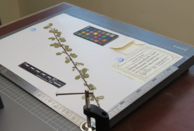 Международниый день биологического разнообразия - пресс-тур в Институт ботаники Академии наук РУз Международниый день биологического разнообразия - пресс-тур в Институт ботаники Академии наук РУз