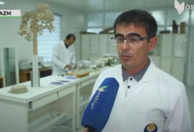 Xorazm Ma'mun akademiyasi - Ichan qal'ada termitlarga qarshi kurashish tadbirlari Xorazm Ma'mun akademiyasi - Ichan qal'ada termitlarga qarshi kurashish tadbirlari