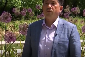 O'zR FA Botanika instituti Toshkent Botanika bog'idagi "Global Allium Garden" Toshkent markazi O'zR FA Botanika instituti Toshkent Botanika bog'idagi "Global Allium Garden" Toshkent markazi