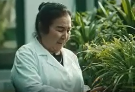 Atirgul Xolmirzayeva – O'zR FA Toshkent Botanika bog'i yetakchi dendrolog mutaxassisi Atirgul Xolmirzayeva – O'zR FA Toshkent Botanika bog'i yetakchi dendrolog mutaxassisi